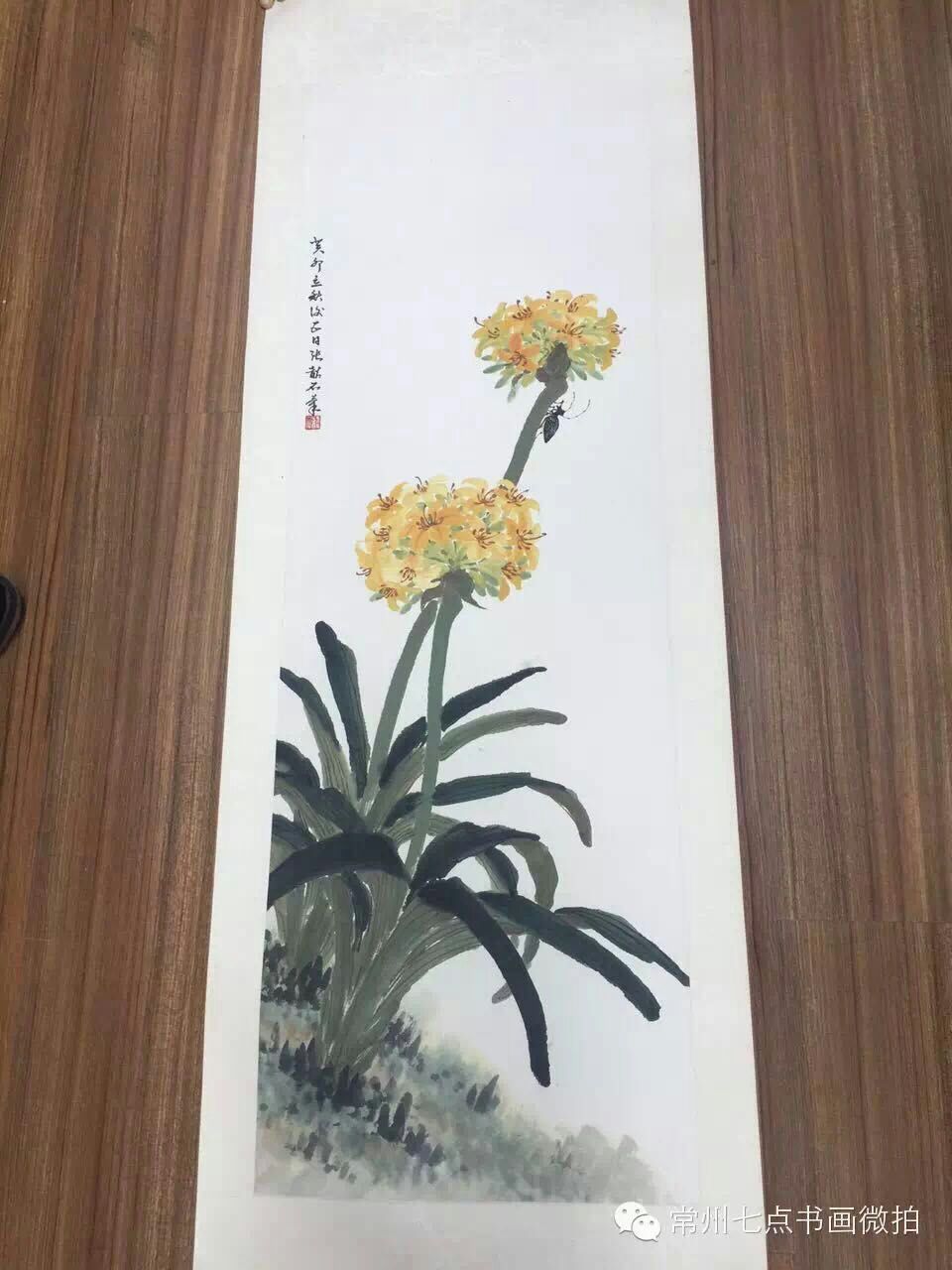 张韶石花卉镜片